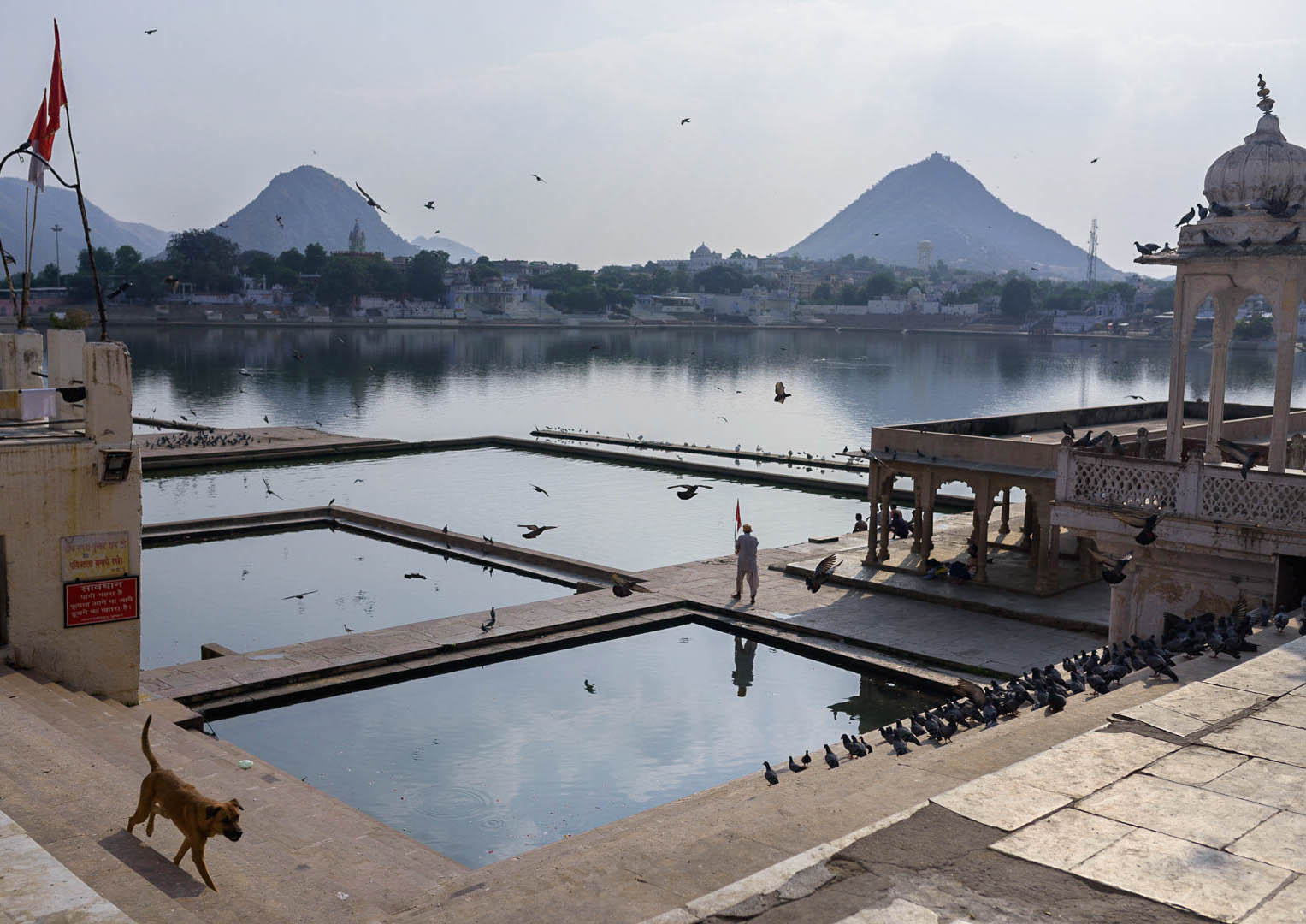 Co warto zobaczyć w Indiach - Pushkar - blog podróżniczy