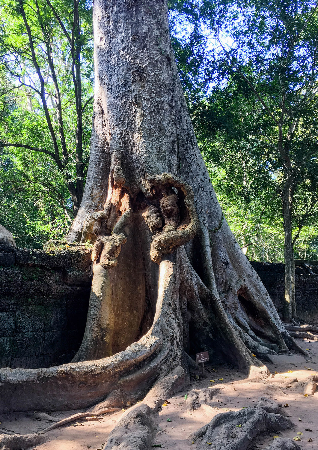 Zwiedzanie Angkor Wat